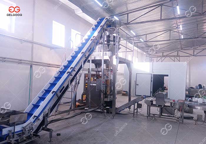 Quick Frozen French Fries Project